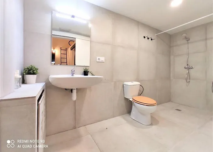 Precioso Loft Berenguer Valencia